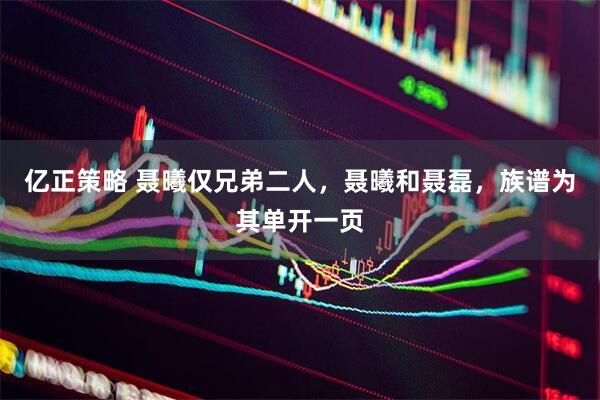 亿正策略 聂曦仅兄弟二人，聂曦和聂磊，族谱为其单开一页