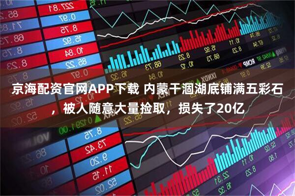 京海配资官网APP下载 内蒙干涸湖底铺满五彩石，被人随意大量捡取，损失了20亿